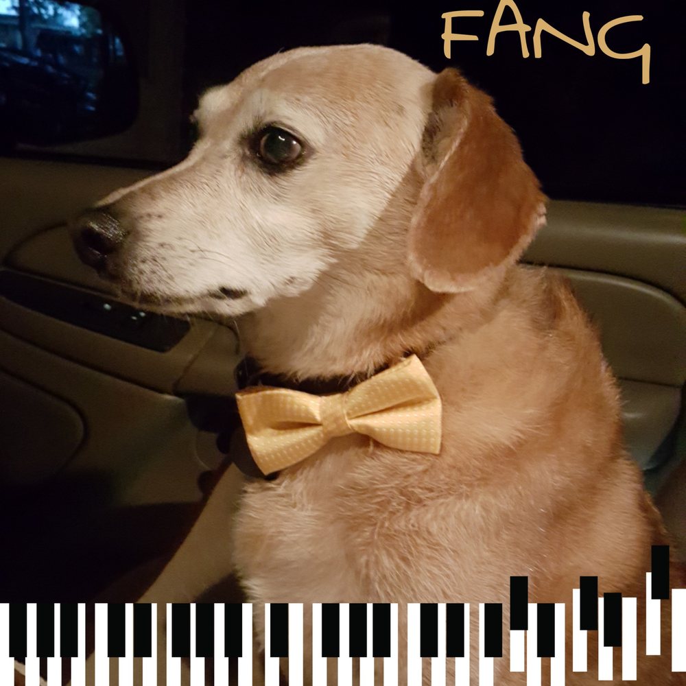 CHARLIE’S ANGELS MOBILE GROOMING Updated June 2024 Kennesaw