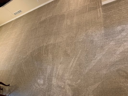 PREMIER CARPET CLEANING - Updated December 2024 - 22 Photos & 55