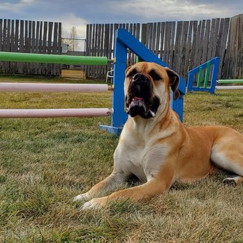 Glenpark Pet Hotel & Suites - Pet Groomers Near Me - Leduc County, Alberta Glenpark Pet Hotel & Suites - Pet Groomers Near Me - Leduc County, Alberta