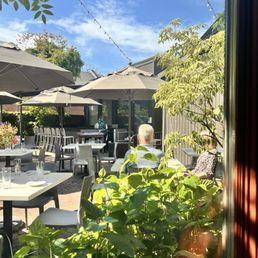 L’ALBATROS - Updated March 2026 - 1053 Photos & 1041 Reviews - 11401 ...