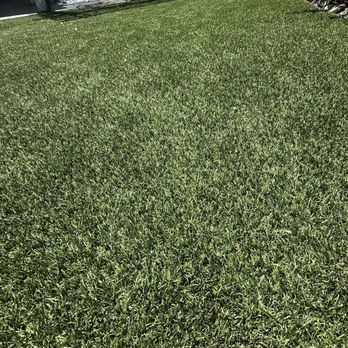 NoMow Turf - Artificial Turf Near Me NoMow Turf - Artificial Turf Near Me