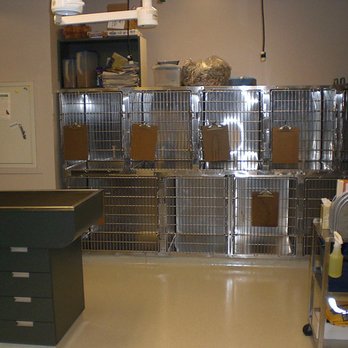 Canton Veterinary Hospital - Veterinarians Near Me - Canton, Massachusetts Canton Veterinary Hospital - Veterinarians Near Me - Canton, Massachusetts