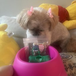 Treats! Treats!