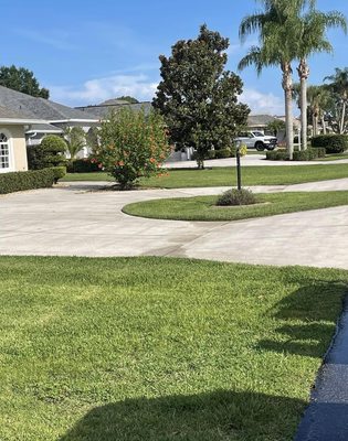 Virtuous Soft Wash Logo