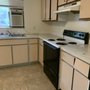 Photo of Basics Cleaning Services