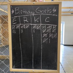 OBX Axe Throwing
