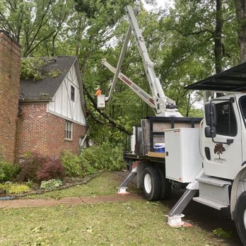 Delta Tree Service - Tree Services Near Me - Jackson, Tennessee Delta Tree Service - Tree Services Near Me - Jackson, Tennessee
