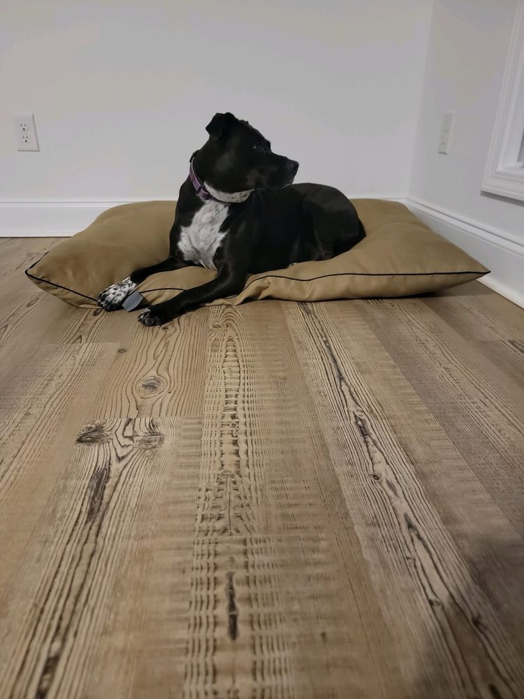 RUFF LANDING DOGGIE DAYCARE AND BOARDING Updated March 2024 55