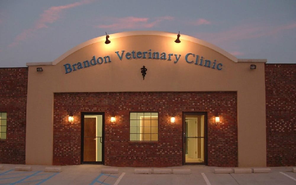 Brandon Veterinary Clinic - pet boarding facility in Brandon, MS