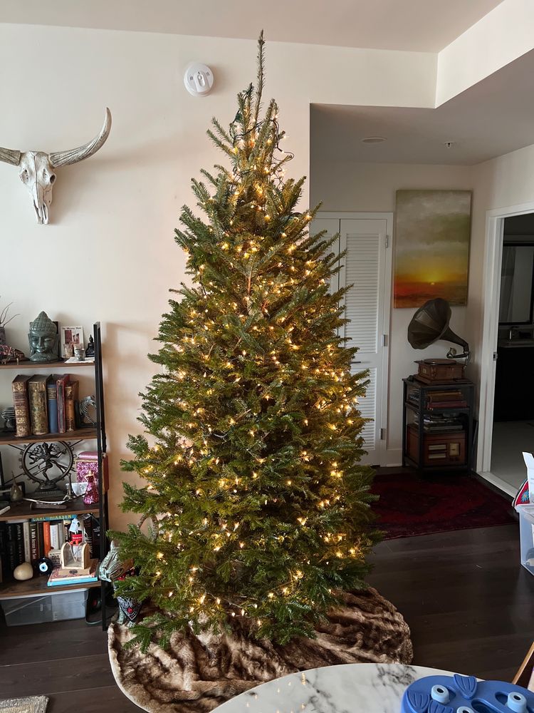 CAL’S CHRISTMAS TREES Updated September 2024 10 Reviews 63 Monroe St, Hoboken, New Jersey
