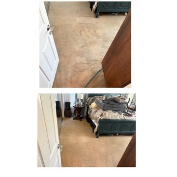 Coachella Valley Carpet Tile Care - Before and after from heavy pet stains, deep cleaned and power, scrubbed treated with pet enzymes and fresh deodorizer - Carpet Cleaning Near Me - La Quinta, California Coachella Valley Carpet Tile Care - Before and after from heavy pet stains, deep cleaned and power, scrubbed treated with pet enzymes and fresh deodorizer - Carpet Cleaning Near Me - La Quinta, California