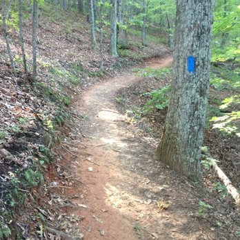 Read Mountain Preserve - Trail.. The blue marker is for Buzzards Rock Trail - Hiking Near Me - Roanoke, Virginia