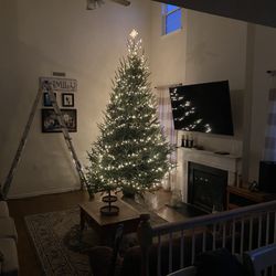 Mrs  Ruth's Christmas Tree Lot
