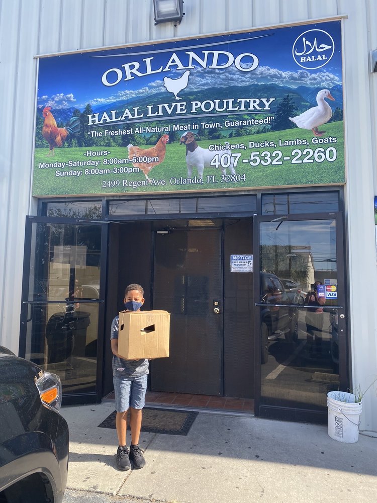 ORLANDO LIVE POULTRY Updated October 2024 2499 Regent St, Orlando