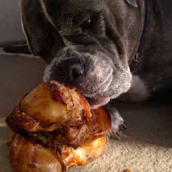 Cold Nose Warm Heart - Zoe the Mastiff enjoying her knuckle bone - Pet Stores Near Me - Palm Springs, California Cold Nose Warm Heart - Zoe the Mastiff enjoying her knuckle bone - Pet Stores Near Me - Palm Springs, California