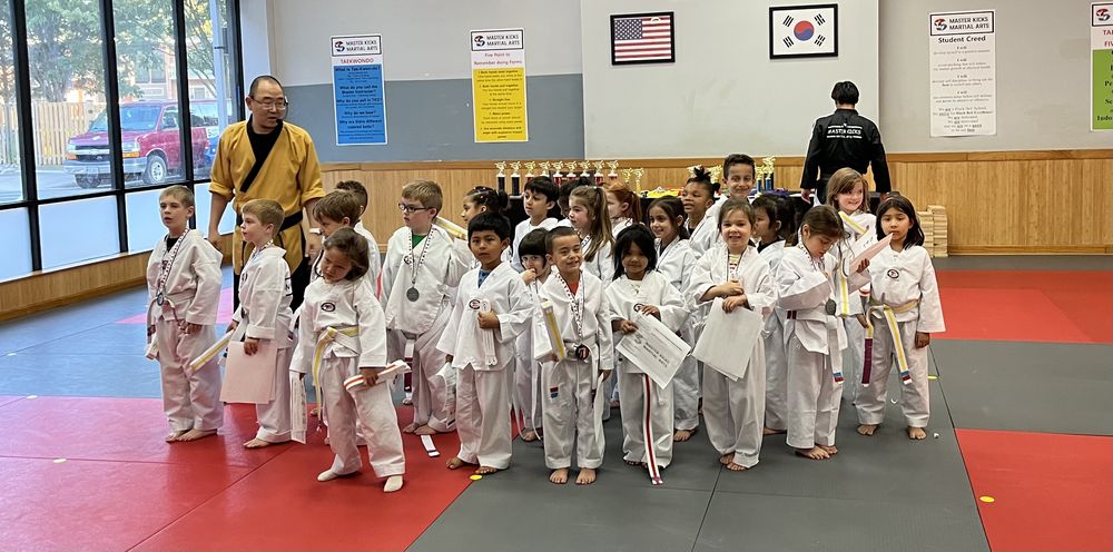 Master Kicks Martial Arts Logo