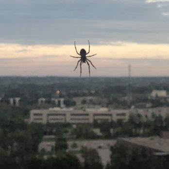 Brookstreet Hotel - Hotels Near Me - Kanata, Ontario