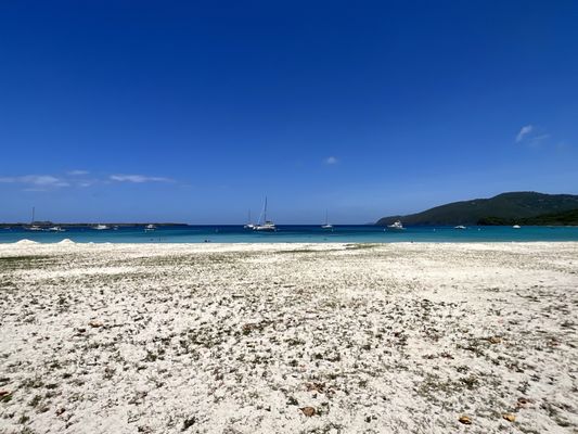 Brewers Bay Beach by null
