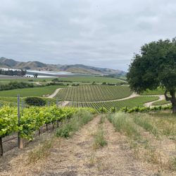 Casa Dumetz Wines