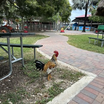 Robert Is Here - Outdoor area - Fruits & Veggies Near Me - Homestead, Florida Robert Is Here - Outdoor area - Fruits & Veggies Near Me - Homestead, Florida
