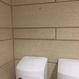 Drain fly in women's shower