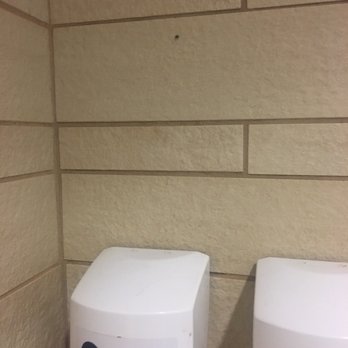 Flow Fitness - Drain fly in women's shower - Gyms Near Me - Seattle, Washington