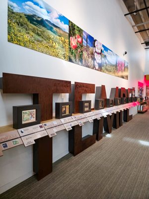 Tempe History Museum by null