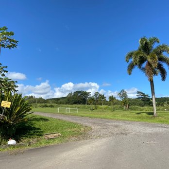 OK Farms Gift Store - View on the parking spot - Gift Shops Near Me - Hilo, Hawaii OK Farms Gift Store - View on the parking spot - Gift Shops Near Me - Hilo, Hawaii