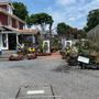 Photo of Cipriano Nursery & Florist