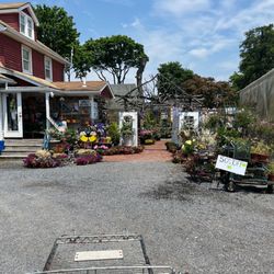 Cipriano Nursery & Florist - Love a great garden