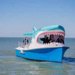 Shark Boat