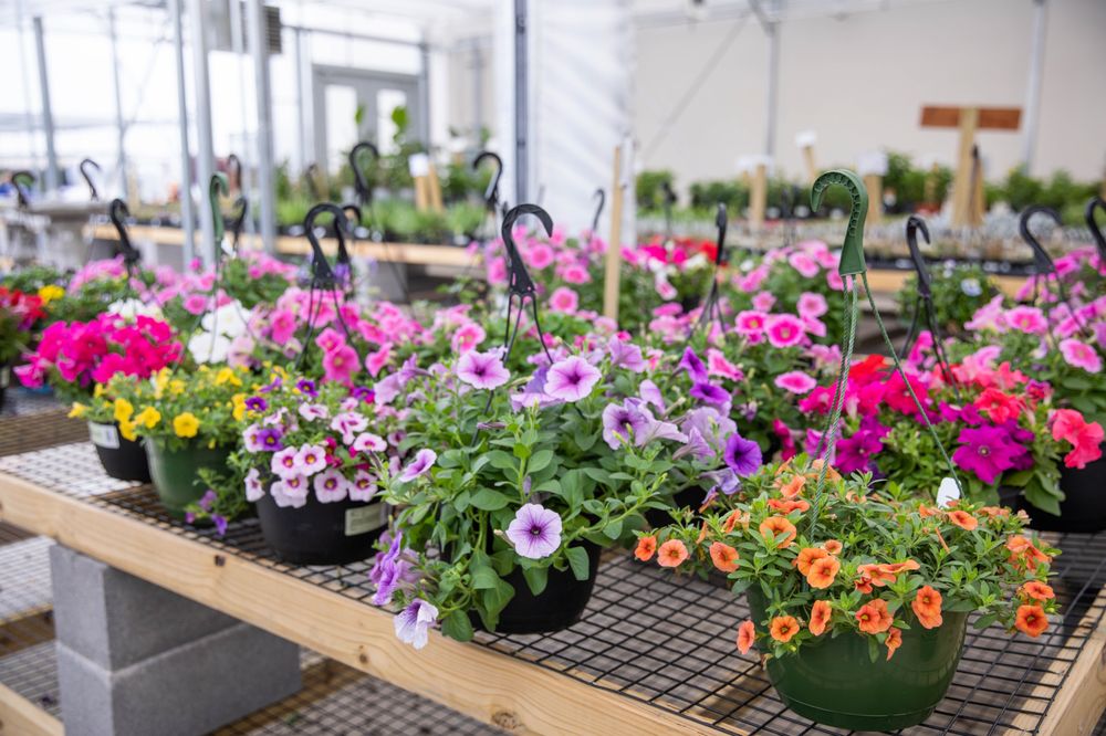 Green Acres Nursery & Supply