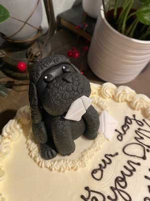 Crown Town Cakes by null