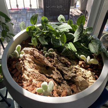 Foothill Nursery - Nurseries & Gardening Near Me - Sylmar, California