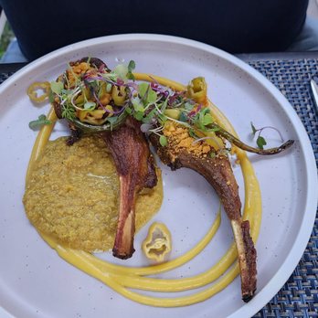 The Circle - Lamb chops - New American Near Me - Fredon Township, New Jersey The Circle - Lamb chops - New American Near Me - Fredon Township, New Jersey