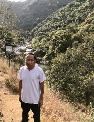 Sequoia National Park's Tunnel Log by null