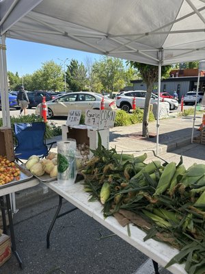 Mercer Island Farmers Market by null
