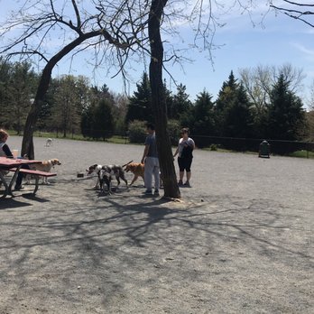 Mason District Dog Park - Pets Near Me - Annandale, Virginia Mason District Dog Park - Pets Near Me - Annandale, Virginia