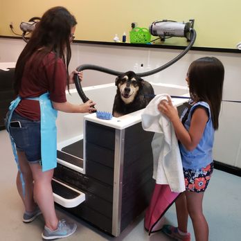 The Mutt Puddle - Best place for dog baths!! - Pet Groomers Near Me - Allen, Texas The Mutt Puddle - Best place for dog baths!! - Pet Groomers Near Me - Allen, Texas