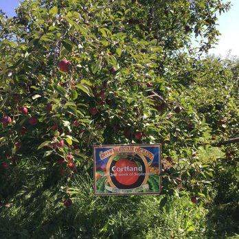 Green Mountain Orchards - Farmers Market Near Me - Putney, Vermont