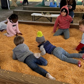 West Farm Corn Maze - Farms Near Me - Moncks Corner, South Carolina