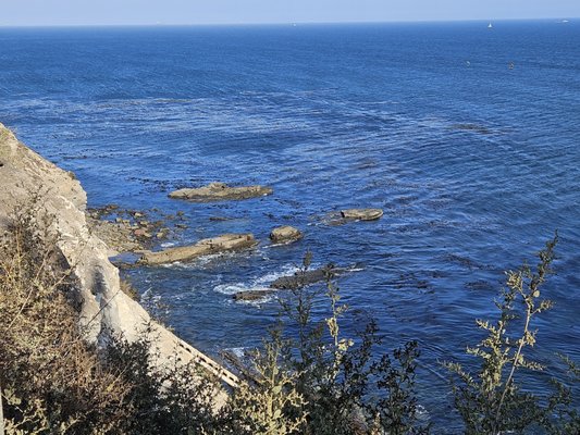 Point Fermin Park by null