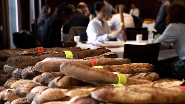 Au levain des Pyrénées by null