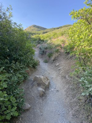 The Living Room Trailhead by null