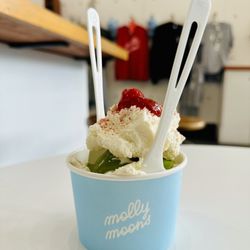 Molly Moon's Homemade Ice Cream gift card