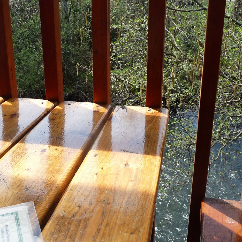 Mac's Place - New American Near Me - Silverton, Oregon Mac's Place - New American Near Me - Silverton, Oregon
