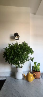 79th Street Greenmarket by null