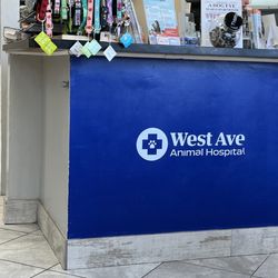 West Ave Animal Hospital