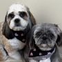 The Doggie Glam Shop