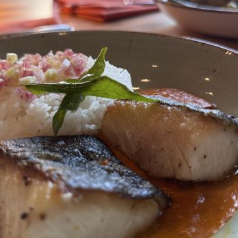 Recipe Philly - Black Cod with Curry Sauce and Rice - American Near Me - Philadelphia, Pennsylvania